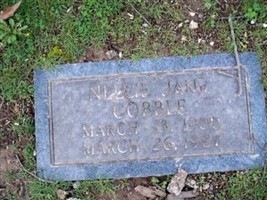 Nellie Jane Moon Cobble