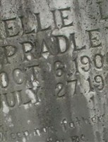 Nellie L. Spradley Nellie L. Spradley