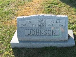 Nellie Long Johnson