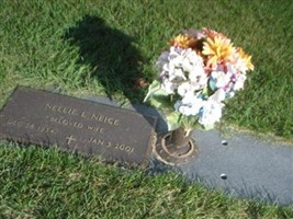 Nellie Louise Catterson Neice