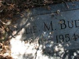 Nellie M Budd