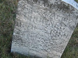 Nellie M. Crowner Nellie M. Crowner