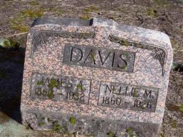 Nellie M Davis