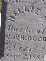 Nellie M Dodd Nellie M Dodd