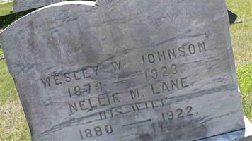 Nellie M. Lane Johnson