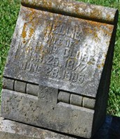 Nellie McClure Nellie McClure