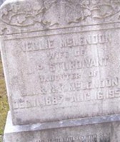 Nellie McLendon Sturdivant