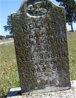 Nellie Mitchell