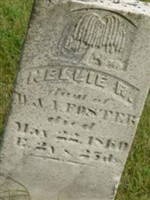 Nellie R Forster Nellie R Forster