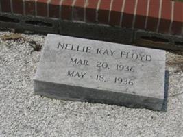 Nellie Ray Floyd