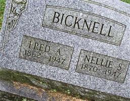 Nellie S. Bicknell