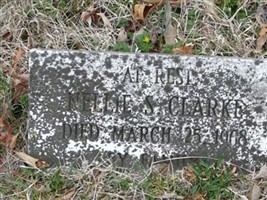 Nellie S. Clarke