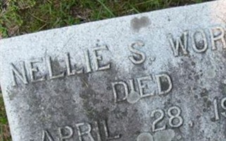 Nellie Shay Worth