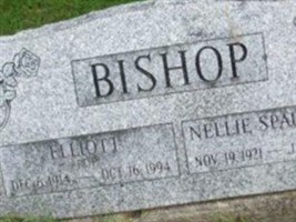Nellie Spaulding Bishop