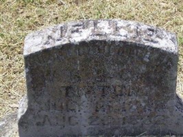 Nellie Tipton