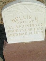 Nellie V. Vinson