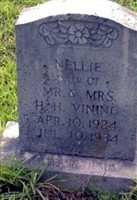 Nellie Vining