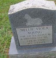 Nellie Viola Young