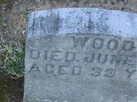 Nellie Wood