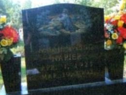 Nellie Young Napier Nellie Young Napier