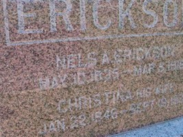 Nels A Erickson Nels A Erickson