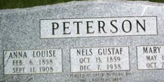 Nels Gustaf Peterson