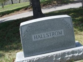 Nels Hallstrom Nels Hallstrom