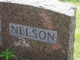 Nels J Nelson