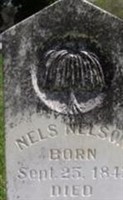 Nels Nelson