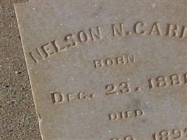 Nelson Card Nelson Card