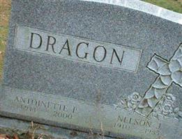 Nelson J Dragon