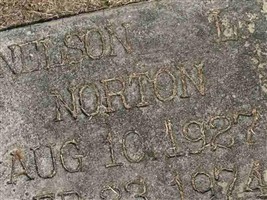 Nelson L Norton