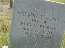 Nelson Levonia Matthews Parrish Nelson Levonia Matthews Parrish
