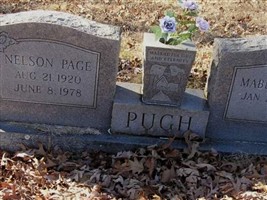 Nelson Page Pugh Nelson Page Pugh