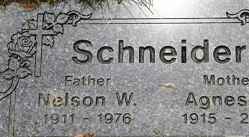 Nelson W. Schneider