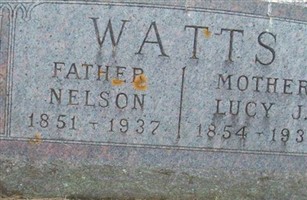 Nelson Watts Nelson Watts