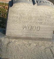 Nephi McLain Wood