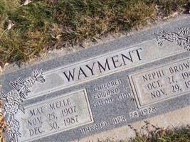Nephi Wayment