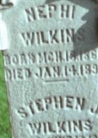 Nephi Wilkins