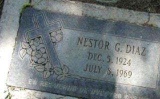 Nestor G. Diaz