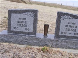 Nestor N. Nelson
