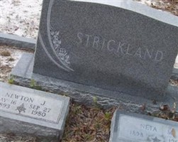 Neta M Strickland