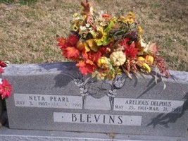 Neta Pearl Blevins Neta Pearl Blevins