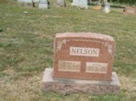 Nettie Ann Luckey Nelson