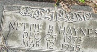 Nettie B. Haynes