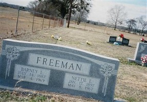 Nettie E. Melton Freeman