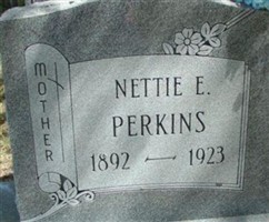 Nettie E. Perkins
