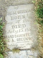 Nettie M. Greenwell