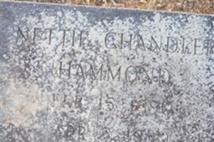 Nettie Marshall Chandler Hammond Nettie Marshall Chandler Hammond