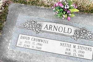 Nettie May Mayne Stevens Arnold